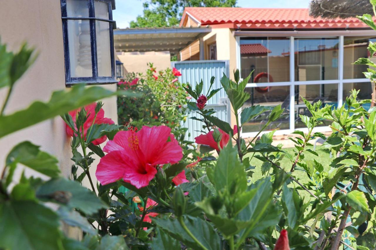 Bungalow Curro Pareja 97 Conil De La Frontera Exterior foto